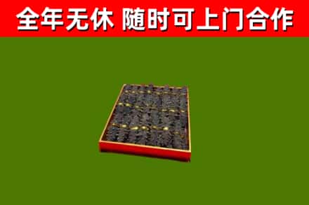 绥棱县烟酒回收海参.jpg